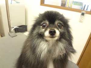 DSC07859